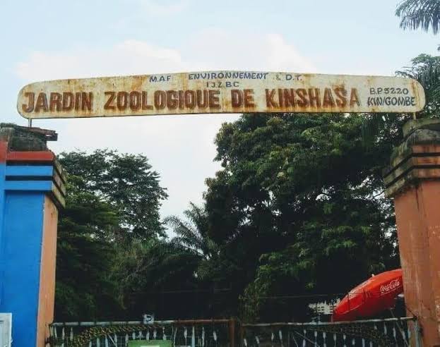 Le gouvernement souhaite délocaliser le jardin zoologique de Kinshasa