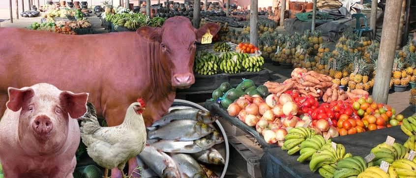 RDC : Entre richesse naturelle et dépendance alimentaire, un paradoxe étonnant
