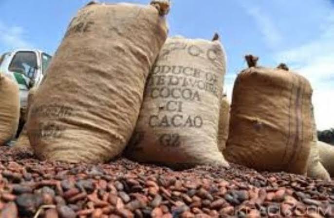 L&rsquo;UE accorde un sursis d&rsquo;un an au café et cacao de la RDC