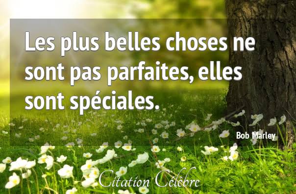 «Les plus belles choses ne sont pas parfaites; elles sont spéciales» : La sagesse inattendue de la rue