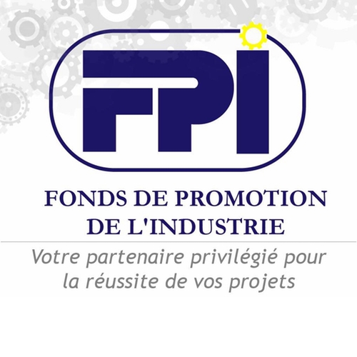 FPI: Avis d&rsquo;appel d&rsquo;offres national sans pré-qualification N°089/FPI/DG/DGA/CGPMP/PM/MPA-ERN-HYS/2025/MF