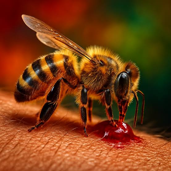 Le venin d’abeille, une arme potentielle contre le cancer du sein